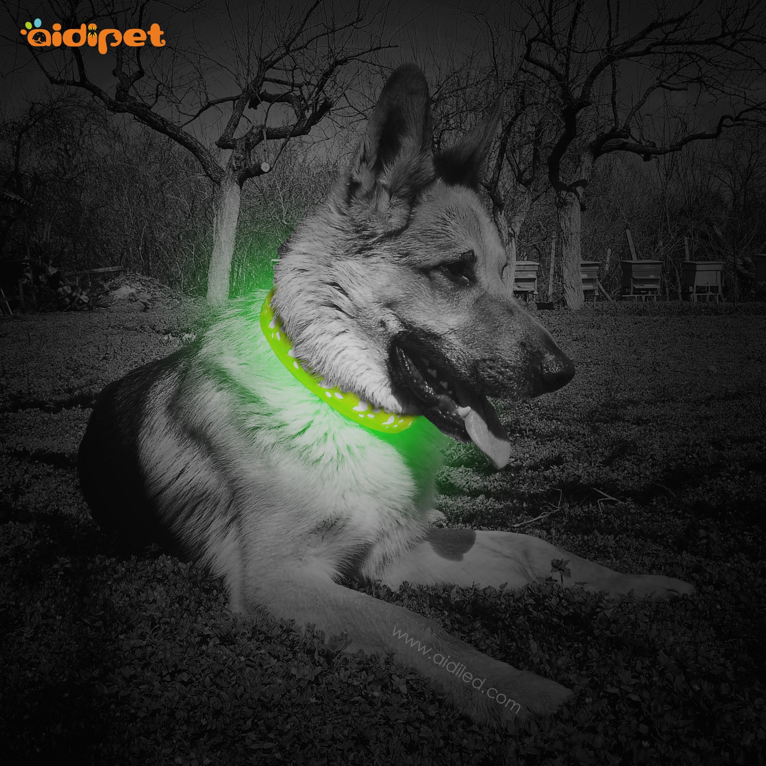 AIDI-Best Waterproof Lighted Dog Collars Wholesale Pet Dog Led Collar-1