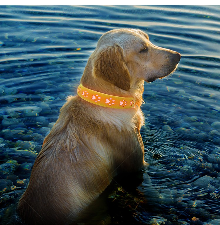 AIDI-Best Waterproof Lighted Dog Collars Wholesale Pet Dog Led Collar-9