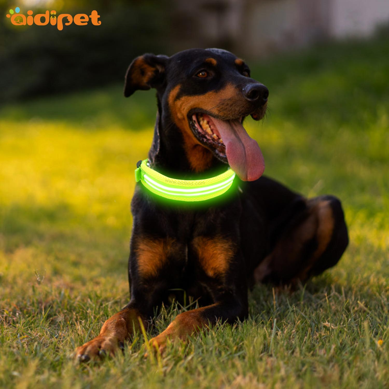 Best Glow In The Dark Dog Collar AIDI-C23