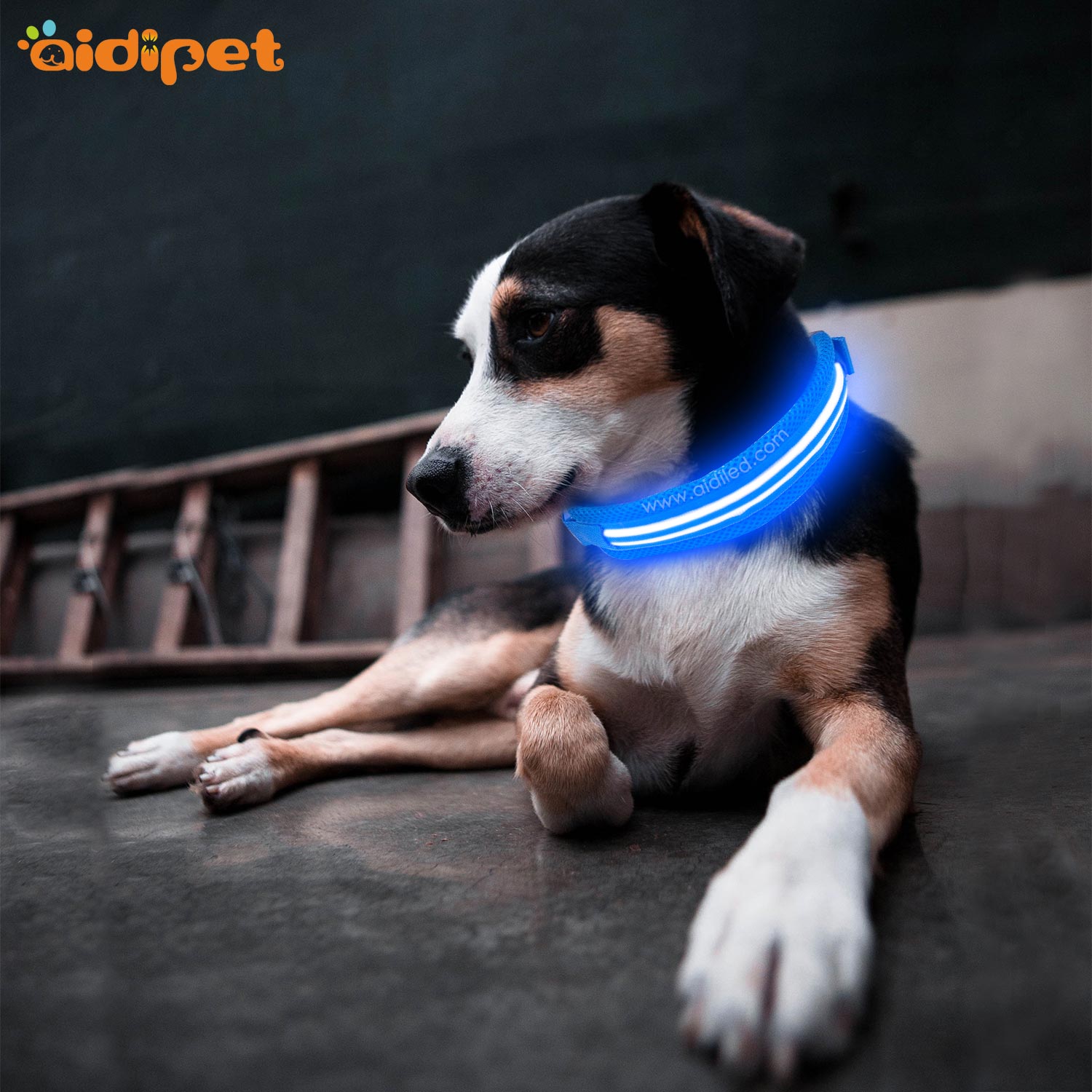 AIDI-Find Best Glow In The Dark Dog Collar Led Nylon Dog Collar From-1