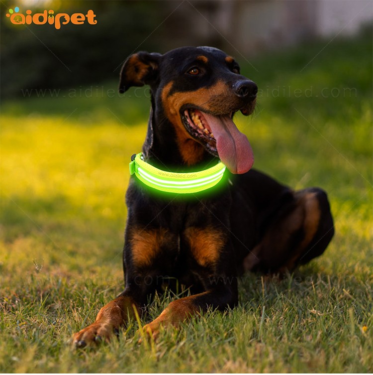 AIDI-Find Best Glow In The Dark Dog Collar Led Nylon Dog Collar From-2