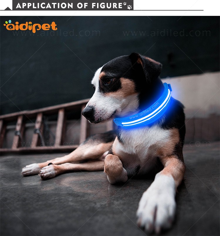 AIDI-Find Best Glow In The Dark Dog Collar Led Nylon Dog Collar From-8