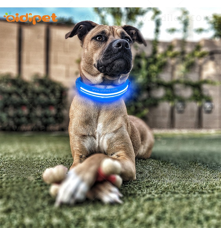 AIDI-Find Best Glow In The Dark Dog Collar Led Nylon Dog Collar From-10