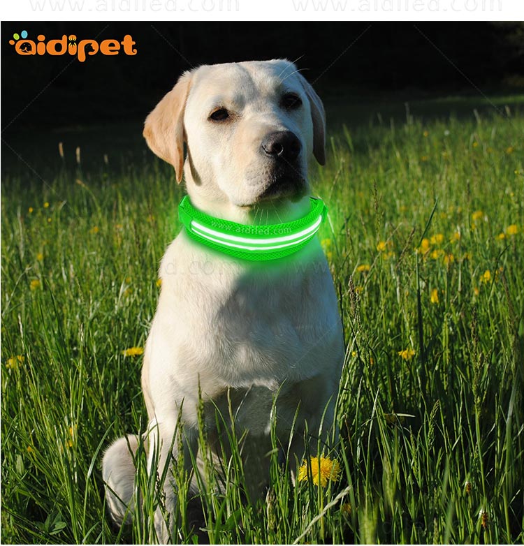 AIDI-Find Best Glow In The Dark Dog Collar Led Nylon Dog Collar From-11