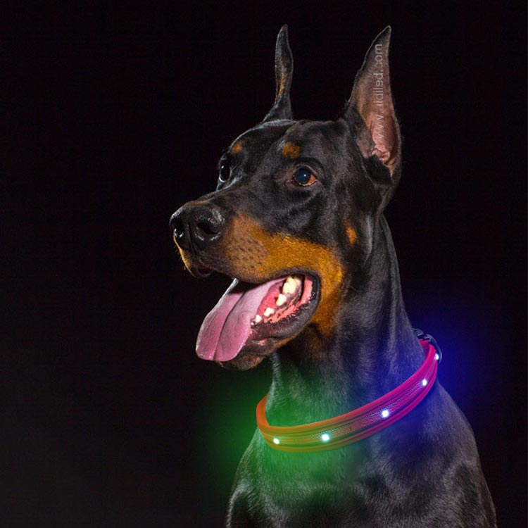 AIDI-Dog Collar Led Flashing Light Manufacture | Led Nylon Dog Collar-1