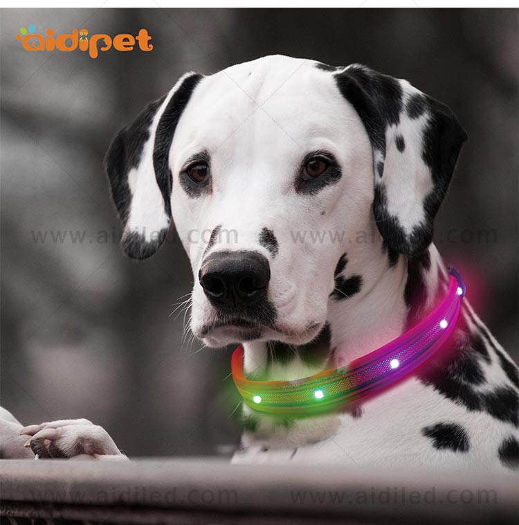 AIDI-Dog Collar Led Flashing Light Manufacture | Led Nylon Dog Collar-11