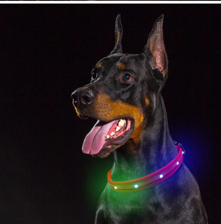 AIDI-Dog Collar Led Flashing Light Manufacture | Led Nylon Dog Collar-9