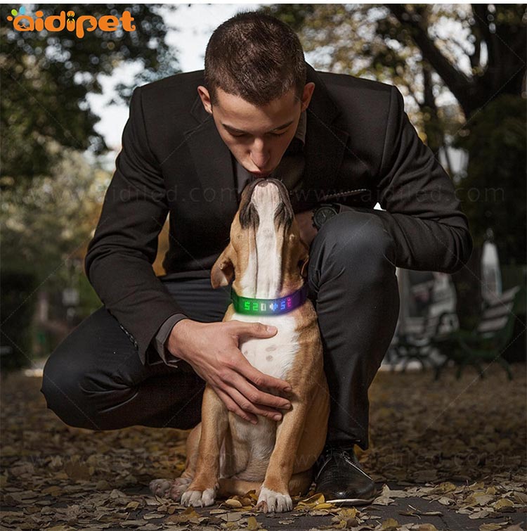 AIDI-Flashing Dog Collar Light Led App Controlled Safety Dog Collars-11
