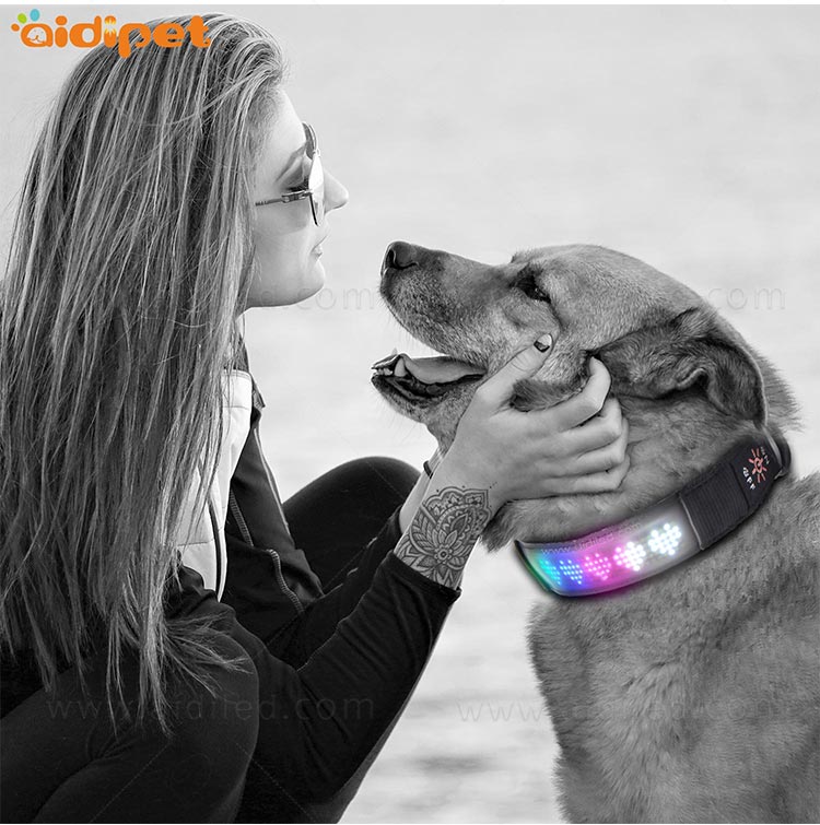 AIDI-Flashing Dog Collar Light Led App Controlled Safety Dog Collars-10
