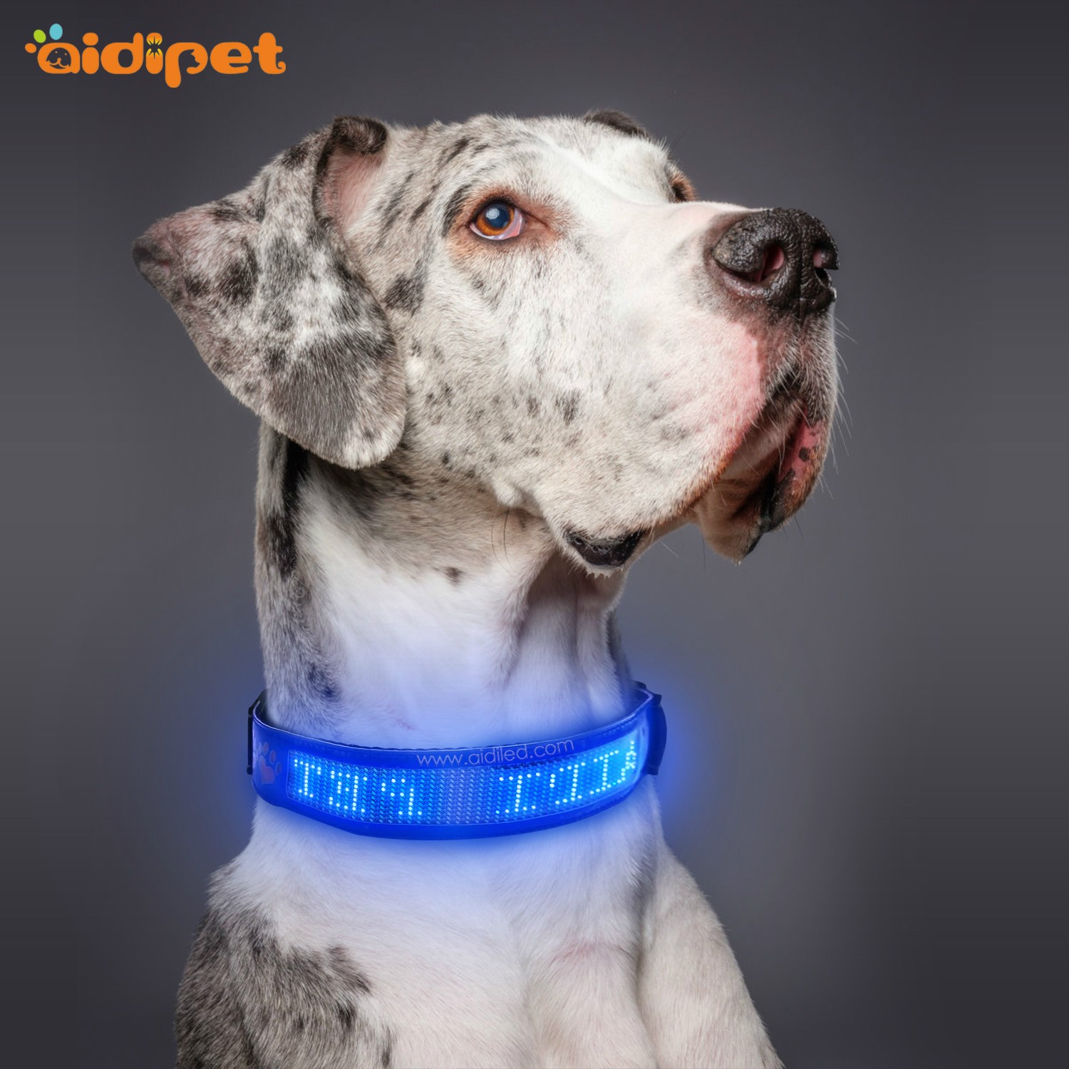 AIDI-Dog Collar Led Flashing Light, Bluetooth Remote Controlled-1