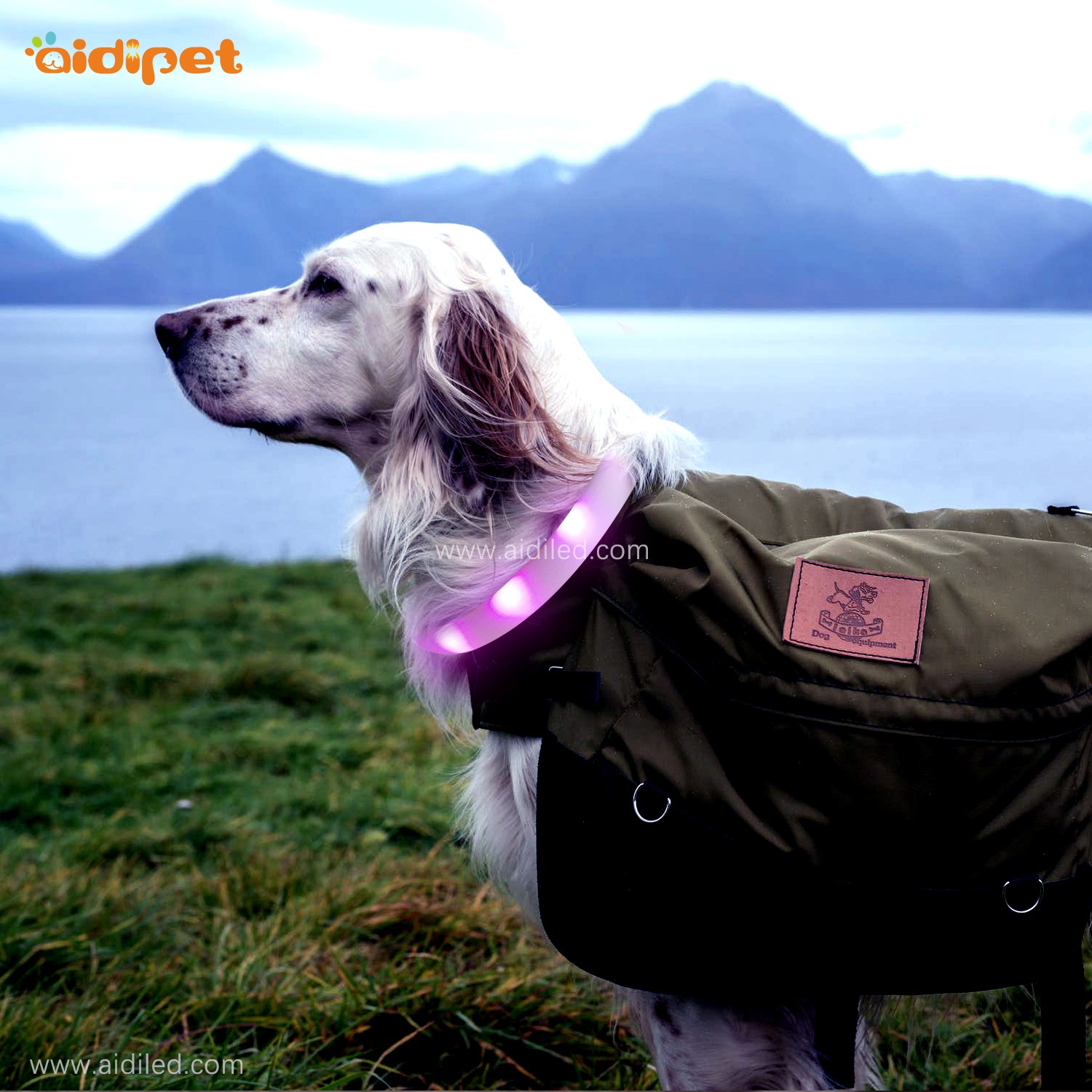 AIDI- Silicone Waterproof Rechargeable Flashing Led Dog Collar | AIDI-1