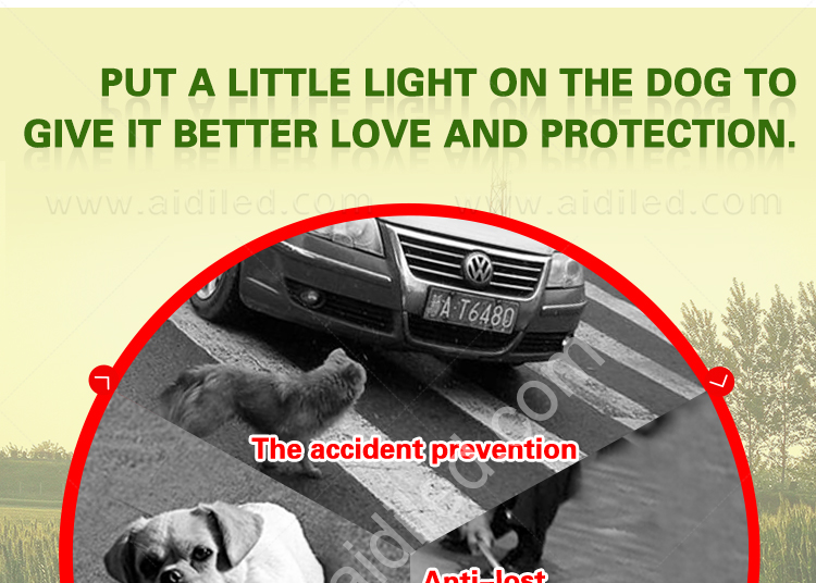 AIDI-Lighted Dog Leash Manufacture | Flat Led Pvc Dot Light Dog Leash-3