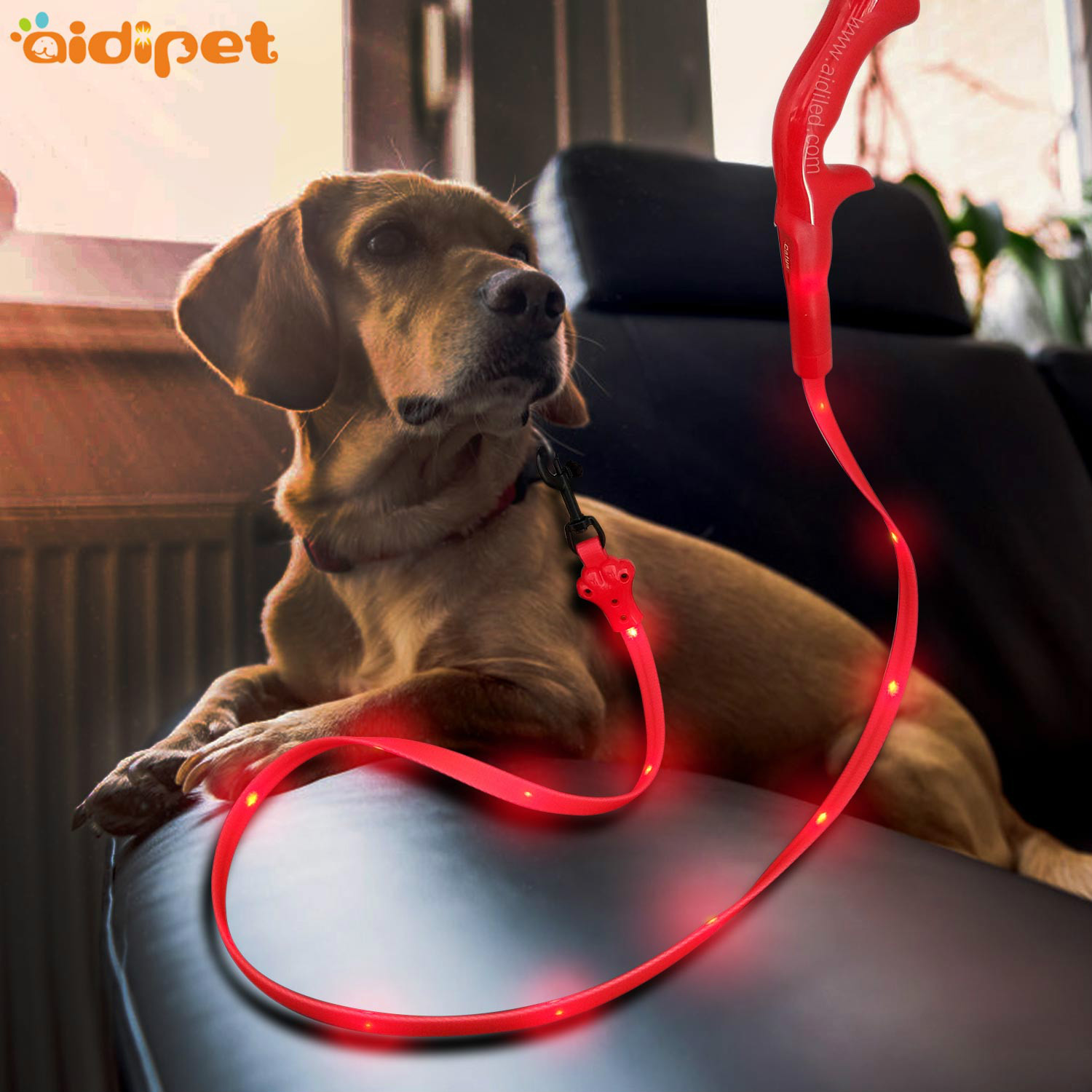Flat Led PVC Dot Light Illuminated Dog Leash  AIDI-L8