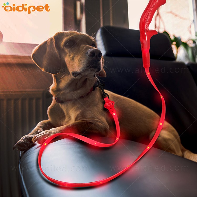 AIDI-Professional Illuminated Dog Leash Flat Led PVC Dot Light-1