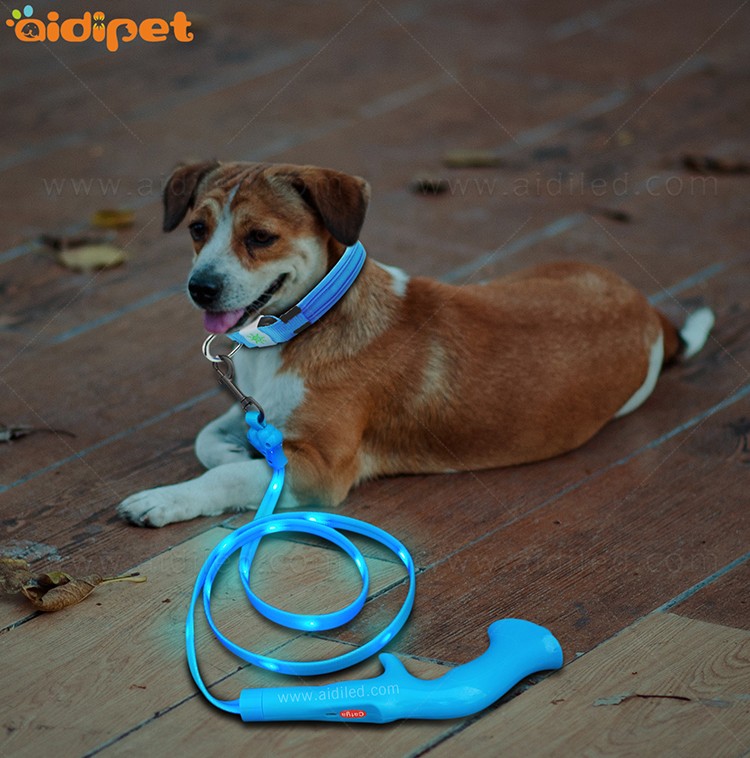 AIDI-Professional Illuminated Dog Leash Flat Led PVC Dot Light-2