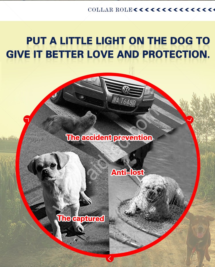 AIDI-Professional Illuminated Dog Leash Flat Led PVC Dot Light-3