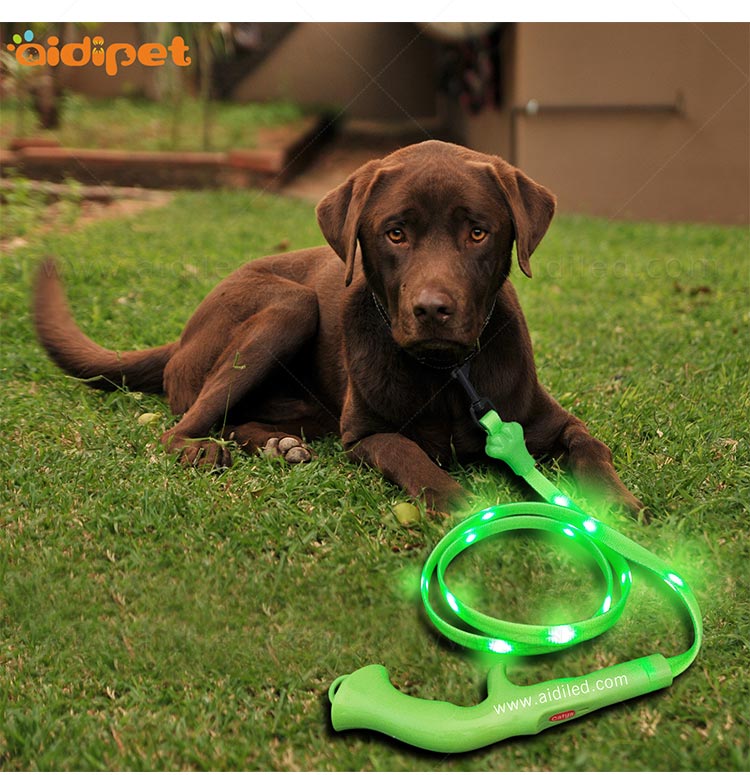 AIDI-Professional Illuminated Dog Leash Flat Led PVC Dot Light-9
