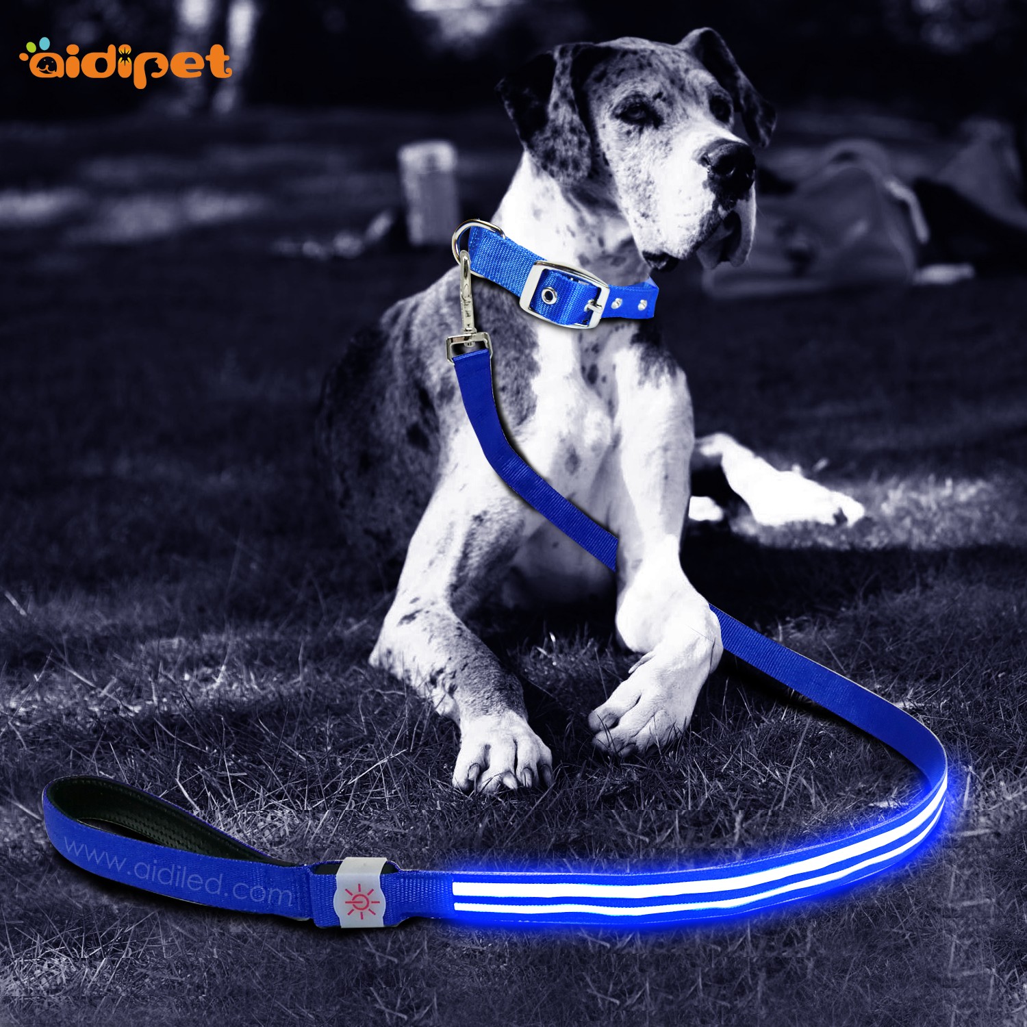 AIDI-Dog Leash With Flashlight Flashing Dog Leash Manufacture-1