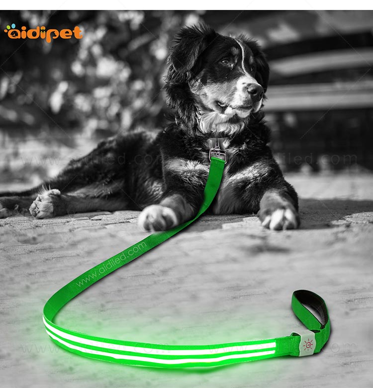 AIDI-Dog Leash With Flashlight Flashing Dog Leash Manufacture-9