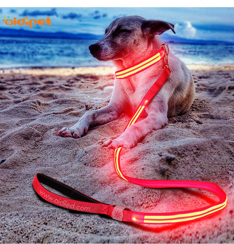 AIDI-Dog Leash With Flashlight Flashing Dog Leash Manufacture-10