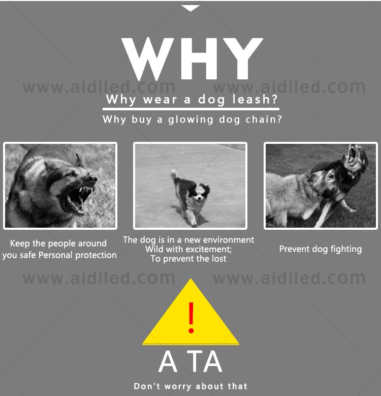 AIDI-Professional Best Led Dog Leash Dog Leash Light For Night Walks-3