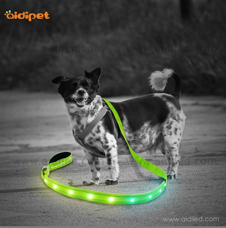 AIDI-Professional Best Led Dog Leash Dog Leash Light For Night Walks-9