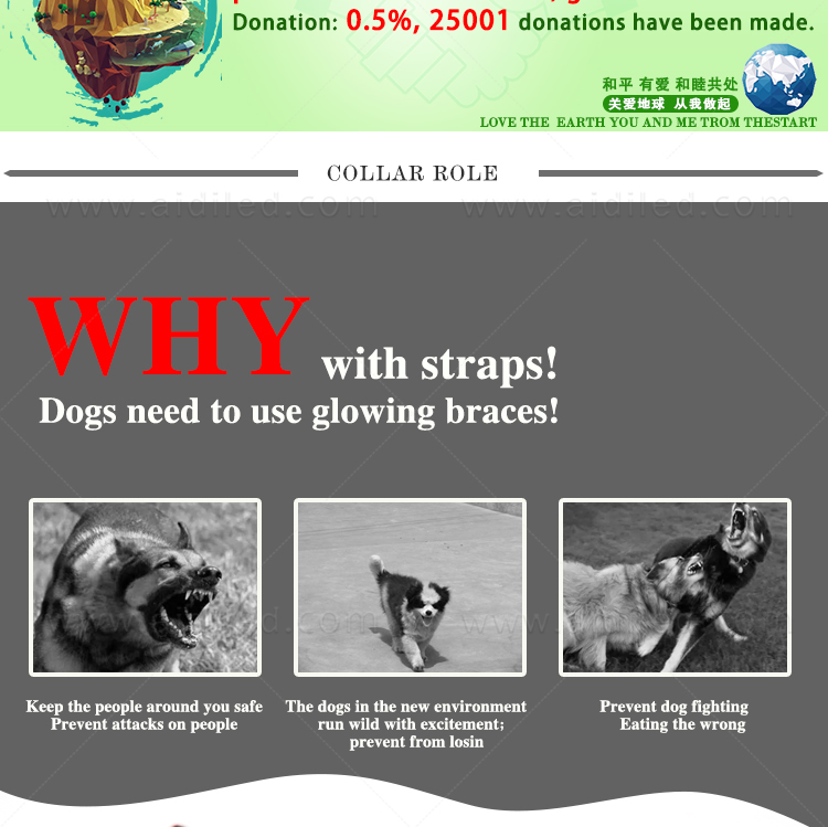 AIDI-Find Led Dog Harness Led Nylon Dog Harness Manufacturer-3