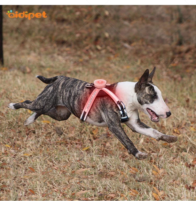 AIDI-Find Led Dog Harness Led Nylon Dog Harness Manufacturer-8