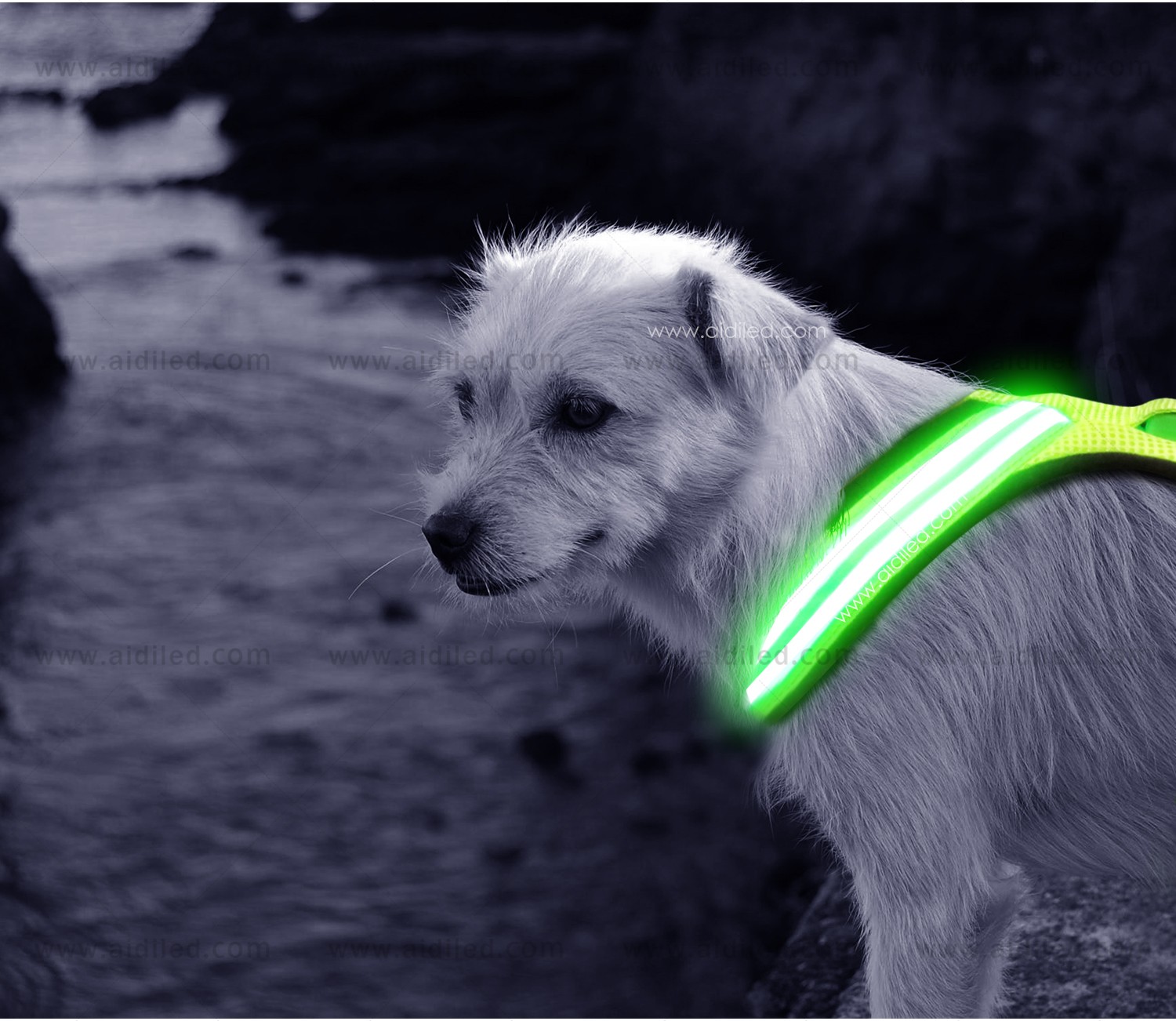 AIDI-Find Flashing Dog Harness Best Led Dog Harness-6