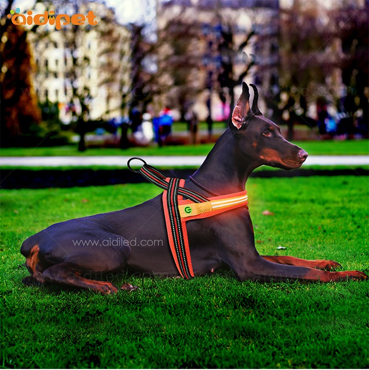 AIDI-Find Illuminated Dog Harness Wholesale Dog Harness Vest-2