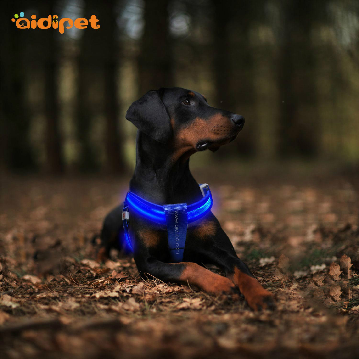 AIDI-Led Dog Harness, Reflective Rechargeable Flashing Led Dog Harness-1