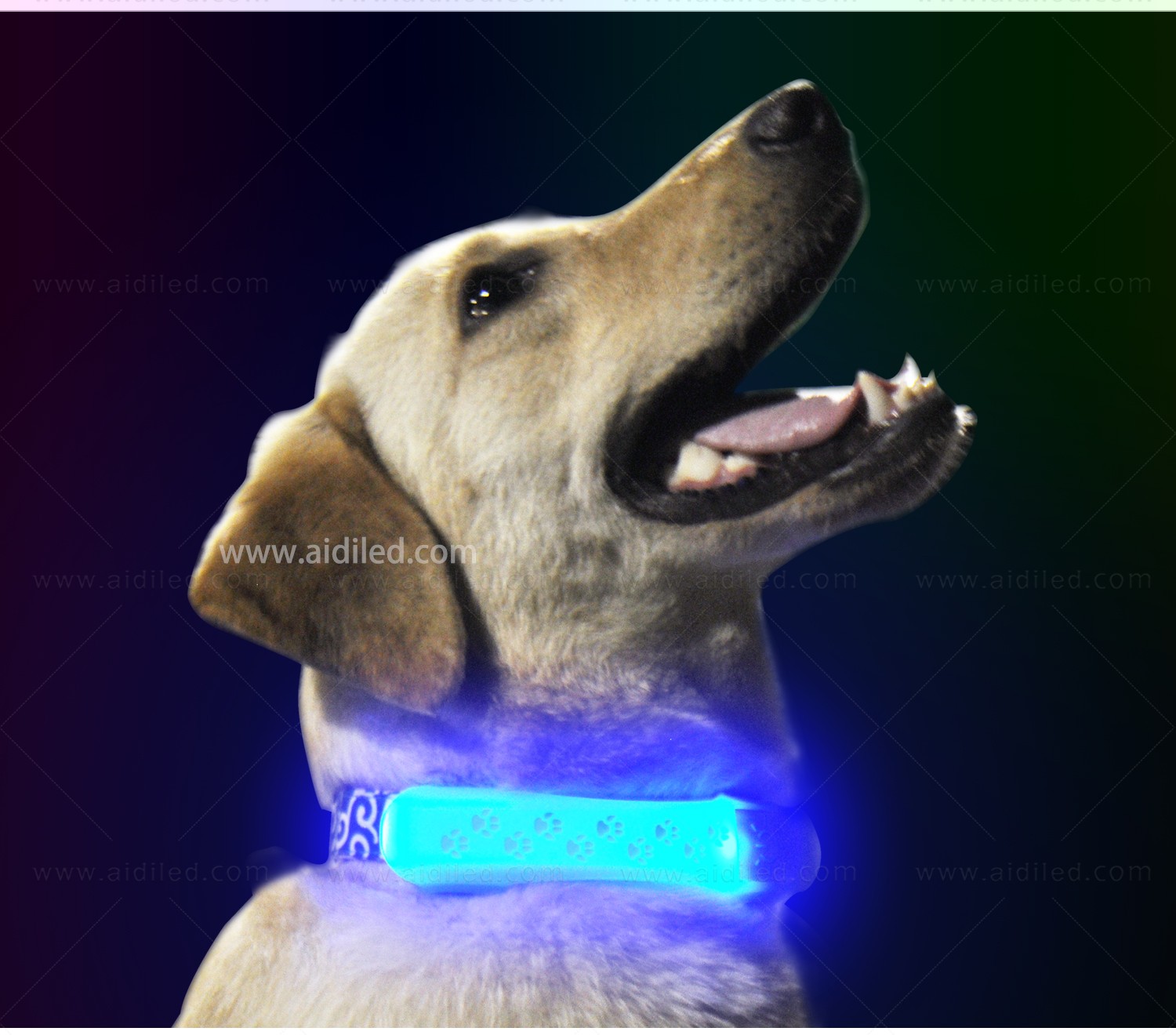 AIDI-Professional Pet Collar Accessories Flashing Dog Collar Light-7