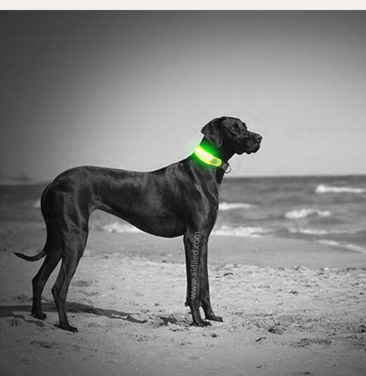 AIDI-Professional Pet Collar Accessories Dog Collar Safety Light-5