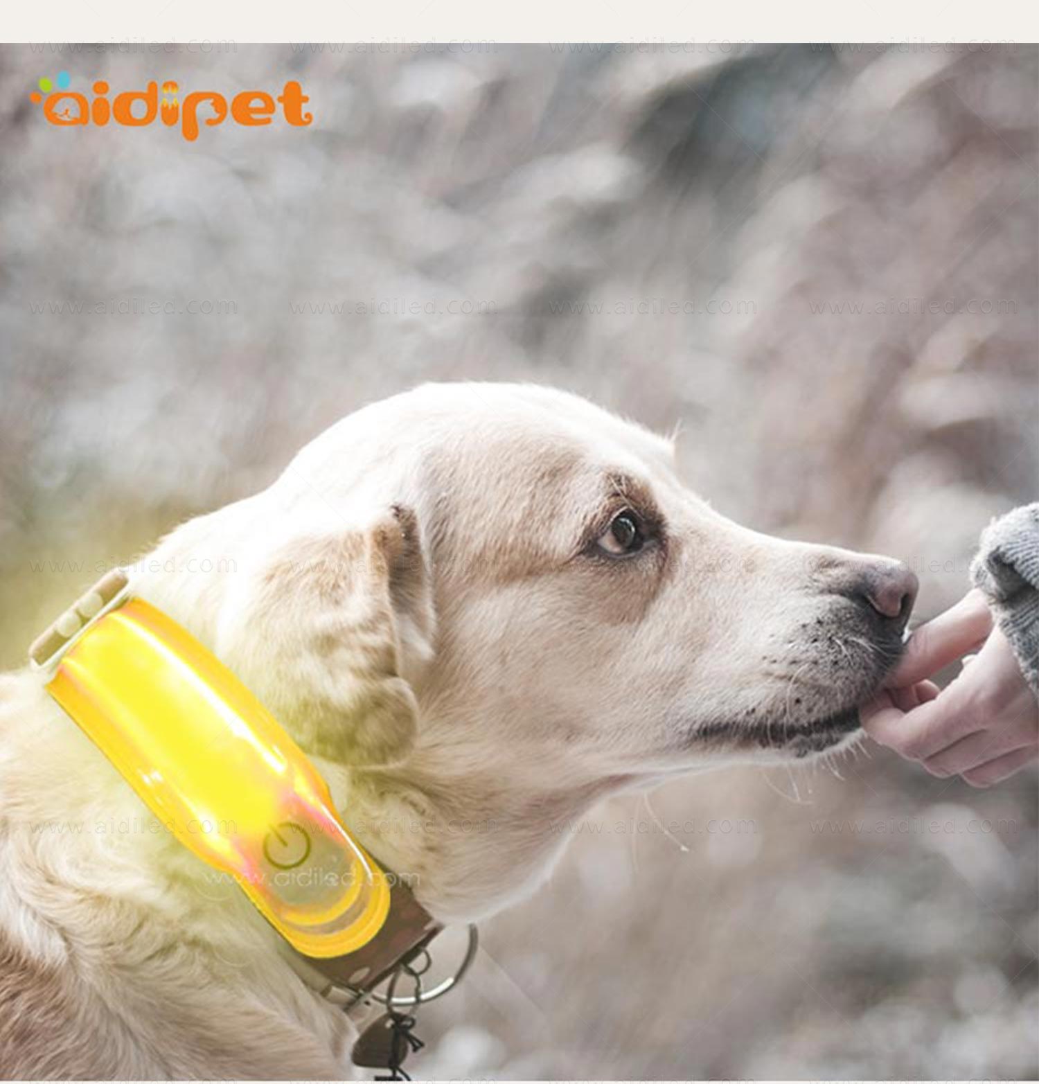 AIDI-Professional Pet Collar Accessories Dog Collar Safety Light-7